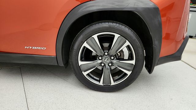 2019 Lexus UX UX 250h AWD with Premium Package & Parking Assist - 22947412 - 8