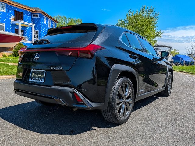 2019 Lexus UX 300h 250h F SPORT AWD's photo