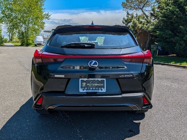 2019 Lexus UX UX 250h F SPORT AWD - 23022333 - 5