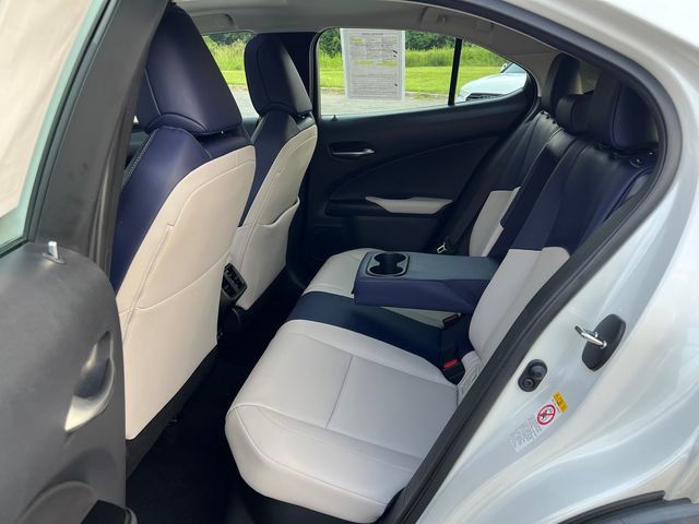 2019 Lexus UX UX 250h Luxury AWD - 23057654 - 13