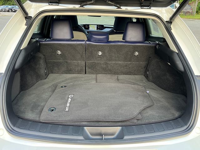 2019 Lexus UX UX 250h Luxury AWD - 23057654 - 16