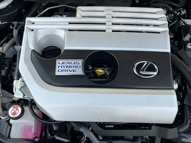 2019 Lexus UX UX 250h Luxury AWD - 23057654 - 22