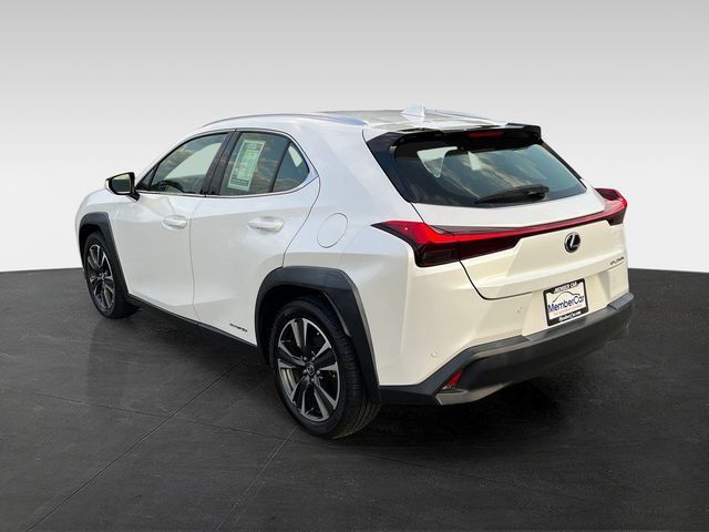 2019 Lexus UX UX 250h Luxury AWD - 23057654 - 2