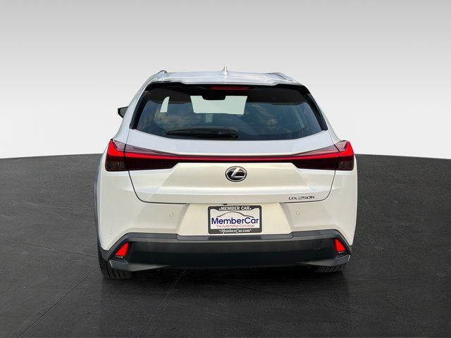 2019 Lexus UX UX 250h Luxury AWD - 23057654 - 3