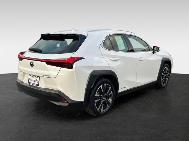 2019 Lexus UX UX 250h Luxury AWD - 23057654 - 4