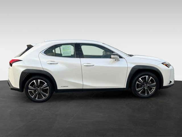 2019 Lexus UX UX 250h Luxury AWD - 23057654 - 5