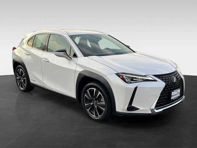 2019 Lexus UX UX 250h Luxury AWD - 23057654 - 6