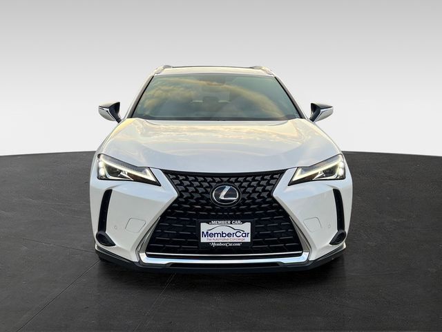 2019 Lexus UX UX 250h Luxury AWD - 23057654 - 7