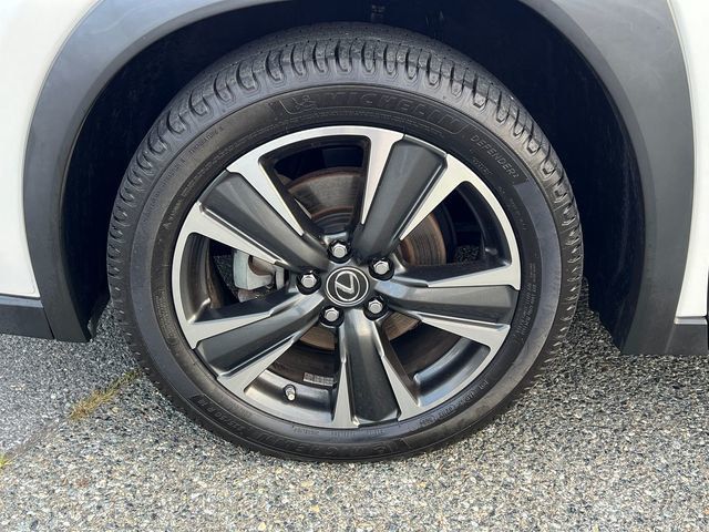 2019 Lexus UX UX 250h Luxury AWD - 23057654 - 8