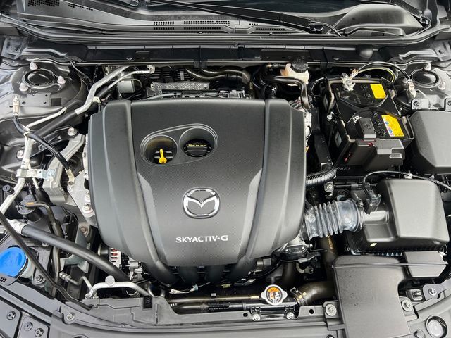 2019 Mazda Mazda3 5-Door FWD Automatic - 22986238 - 18