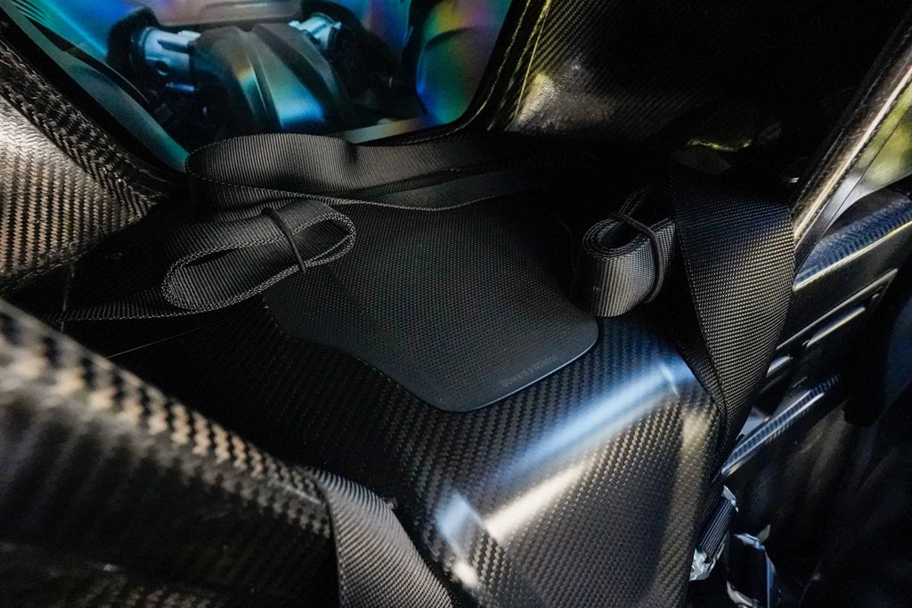 2019 McLaren Senna  - 22972595 - 91