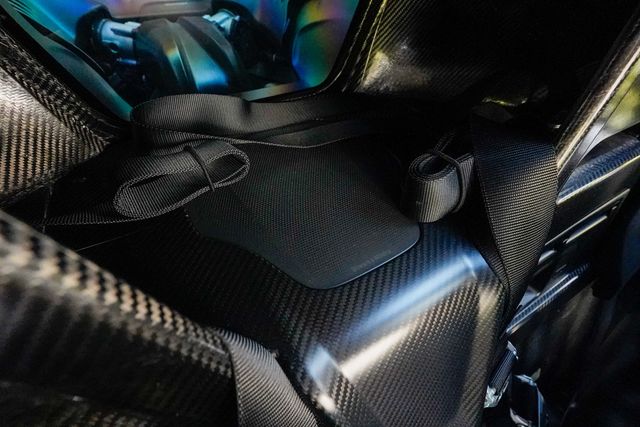 2019 McLaren Senna  - 22972595 - 91