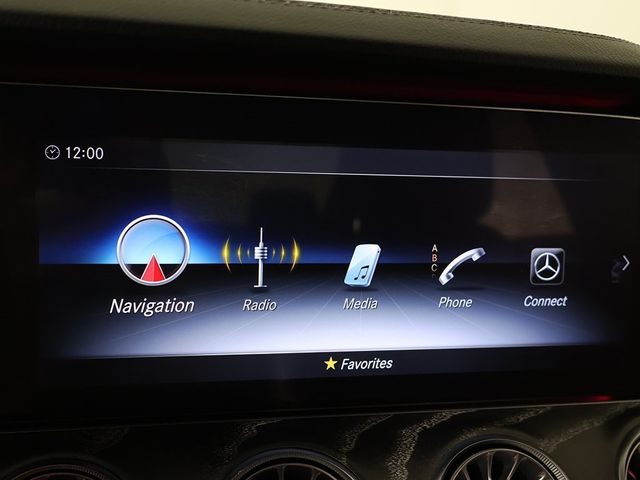 2019 Mercedes-Benz CLS CLS 450 4MATIC Coupe - 22932166 - 46