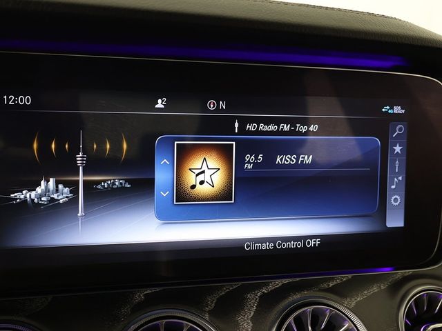 2019 Mercedes-Benz CLS CLS 450 4MATIC Coupe - 22932166 - 48