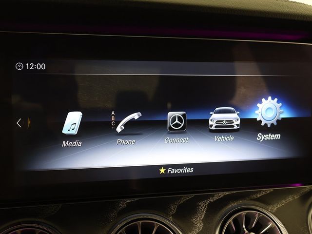 2019 Mercedes-Benz CLS CLS 450 4MATIC Coupe - 22932166 - 49