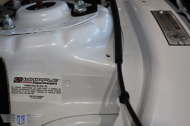 2019 Shelby Super Snake Mustang Ford GT Premium Fastback - 22969984 - 44