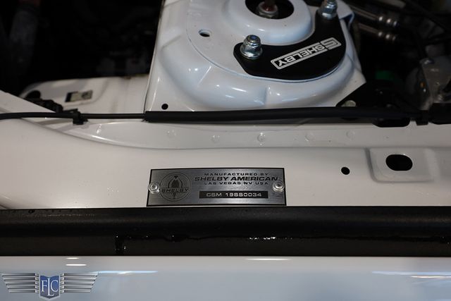 2019 Shelby Super Snake Mustang Ford GT Premium Fastback - 22969984 - 45