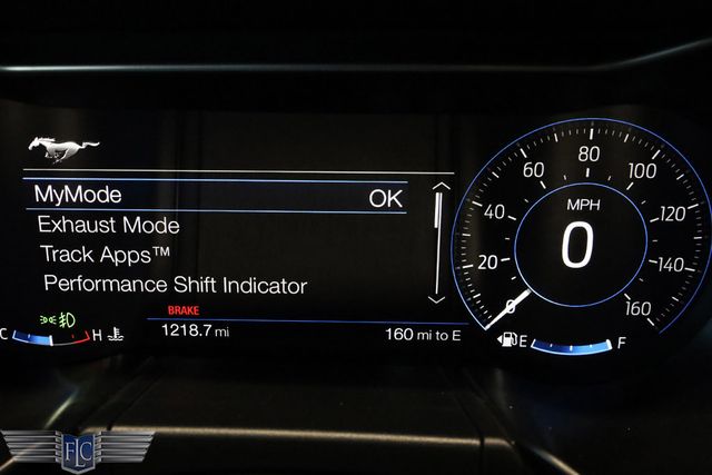 2019 Shelby Super Snake Mustang GT Premium Fastback - 22969984 - 41