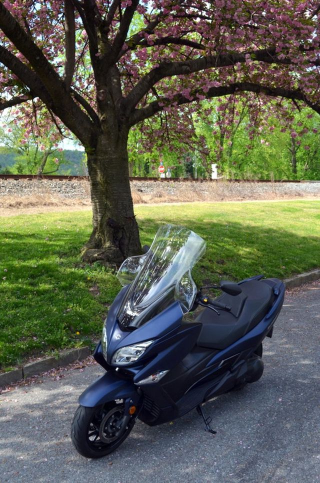 2019 Suzuki Burgman 400 GREAT FUEL ECONOMY - 23014350 - 24