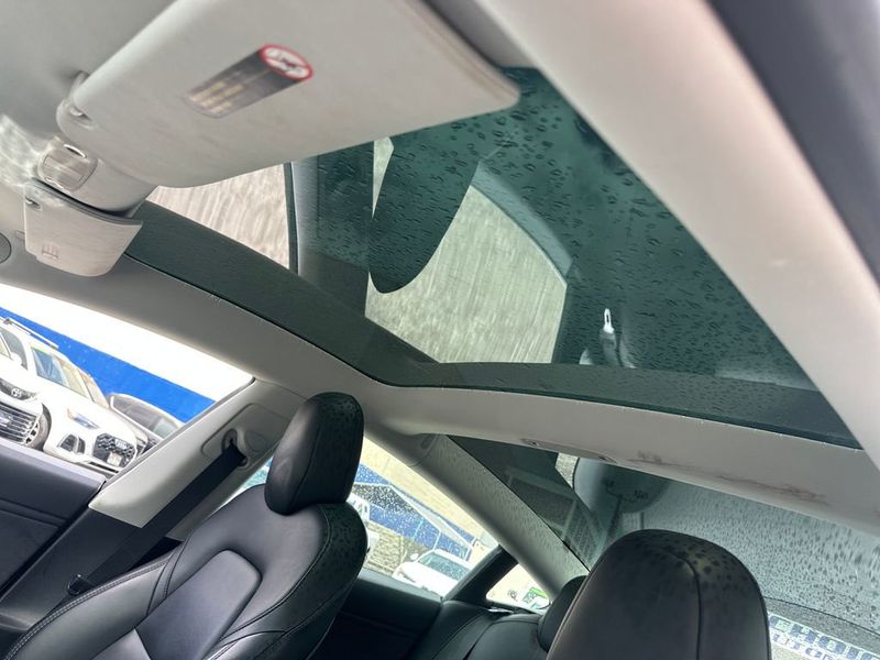 2019 Tesla Model 3  - 23049898 - 18