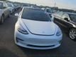 2019 Tesla Model 3  - 23091509 - 2