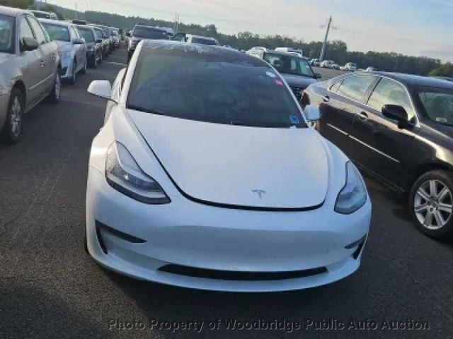 2019 Tesla Model 3  - 23091509 - 2
