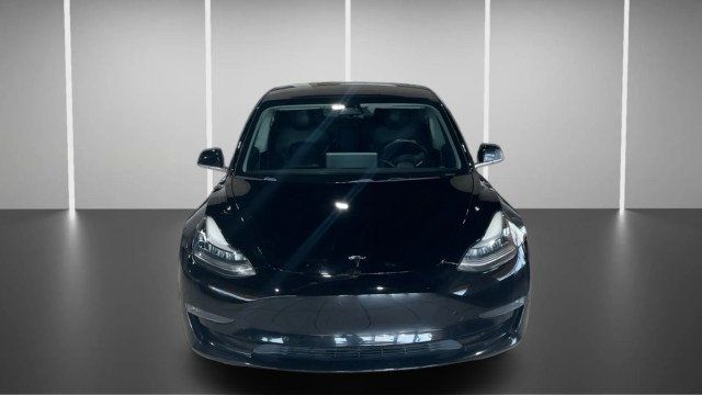 2019 Tesla Model 3 Performance AWD - 23001185 - 1