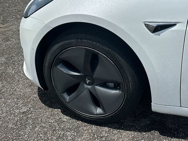 2019 Tesla Model 3 Standard Range Plus - 23049898 - 10