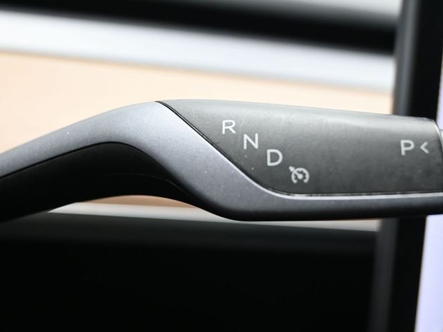 2019 Tesla Model 3 Standard Range Plus - 23005957 - 22