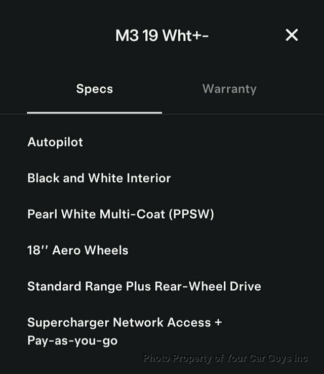 2019 Tesla Model 3 Standard Range Plus  - 22903643 - 30