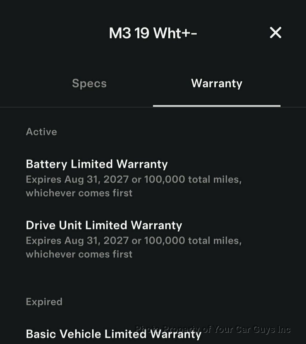 2019 Tesla Model 3 Standard Range Plus  - 22903643 - 31