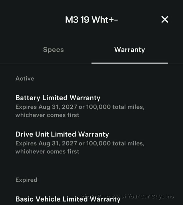 2019 Tesla Model 3 Standard Range Plus  - 22903643 - 31