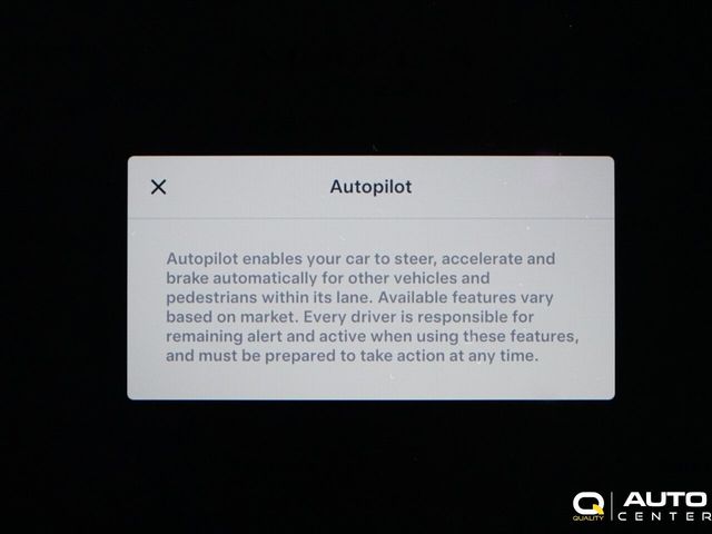 2019 Tesla Model X 75D AWD - 23005587 - 20