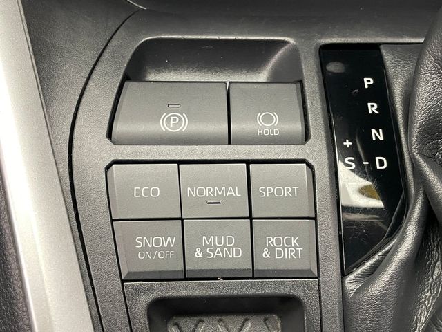 2019 Toyota RAV4 LE AWD - 22962960 - 22