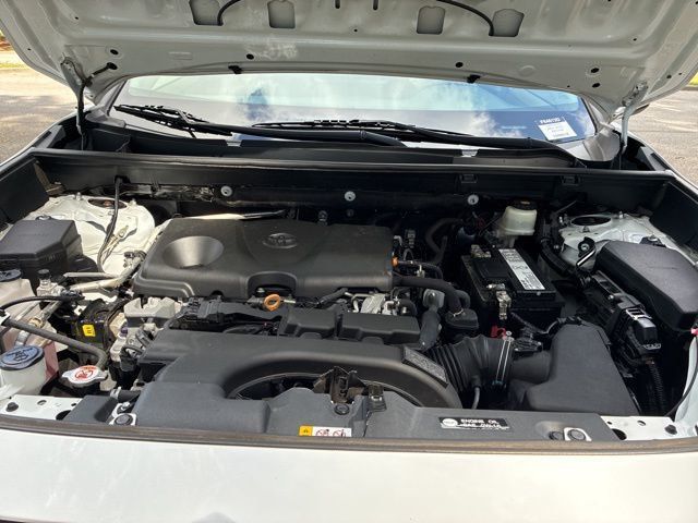 2019 Toyota RAV4 LE FWD - 23007232 - 18