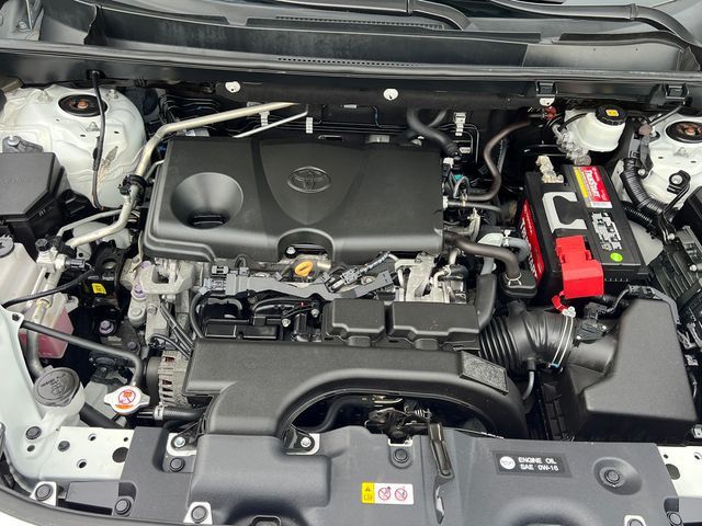 2019 Toyota RAV4 Limited AWD - 23047594 - 21