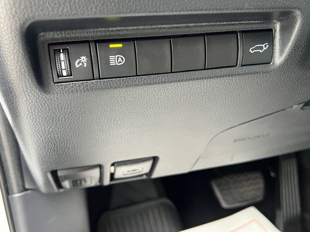 2019 Toyota RAV4 Limited AWD - 23047594 - 23