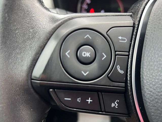 2019 Toyota RAV4 Limited AWD - 23047594 - 24