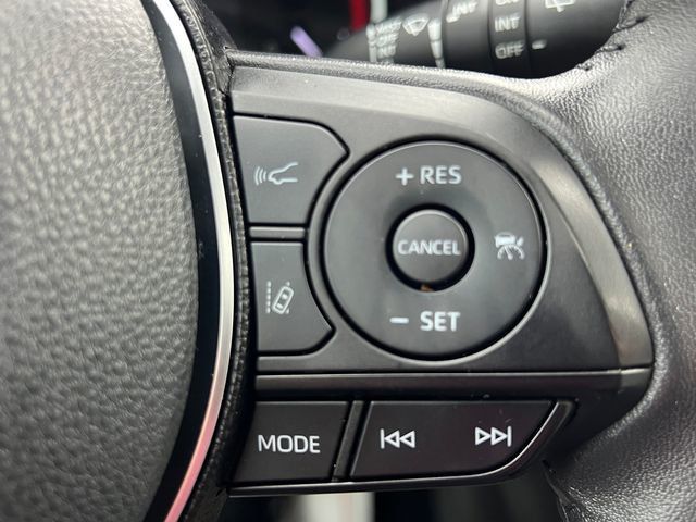 2019 Toyota RAV4 Limited AWD - 23047594 - 25