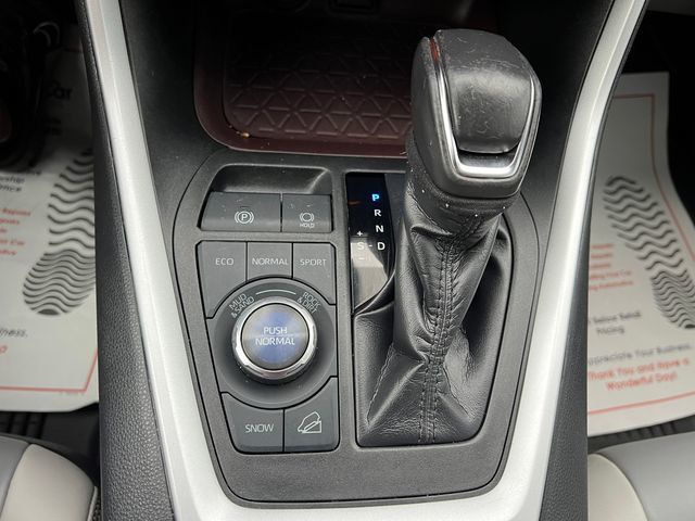 2019 Toyota RAV4 Limited AWD - 23047594 - 31