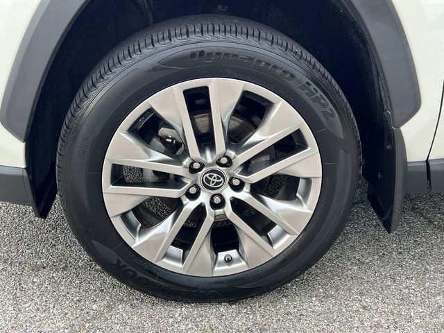 2019 Toyota RAV4 Limited AWD - 23047594 - 8