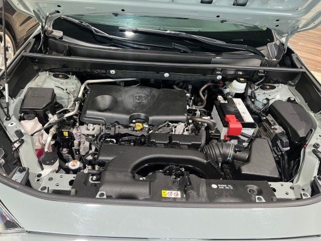 2019 Toyota RAV4 XLE AWD - 21995124 - 31