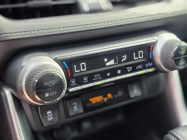 2019 Toyota RAV4 XLE FWD - 22967250 - 29