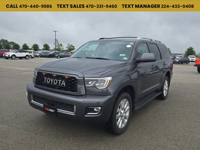2019 Toyota Sequoia - 5TDDY5G13KS171654