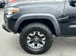 2019 Toyota Tacoma 4WD TRD Off Road Double Cab 5' Bed V6 AT - 23019772 - 41