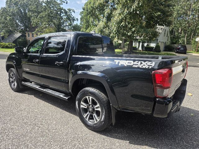 2019 Toyota Tacoma 4WD TRD Sport Double Cab 5' Bed V6 AT - 23084495 - 2