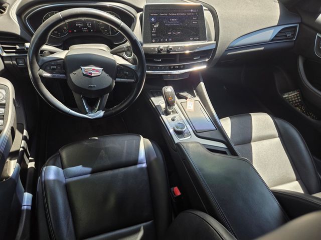 2020 Cadillac CT5 4dr Sedan Premium Luxury - 23037346 - 11
