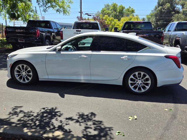 2020 Cadillac CT5 4dr Sedan Premium Luxury - 23037346 - 6