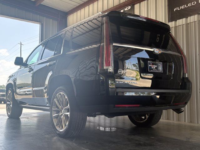 2020 Cadillac Escalade 2WD 4dr Premium Luxury - 23096540 - 6