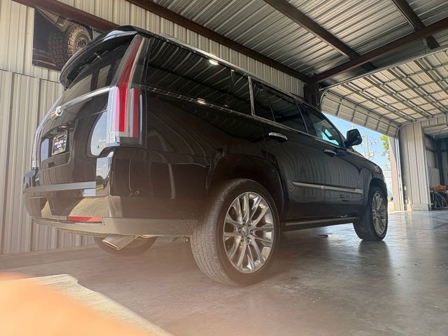 2020 Cadillac Escalade 2WD 4dr Premium Luxury - 23039597 - 4